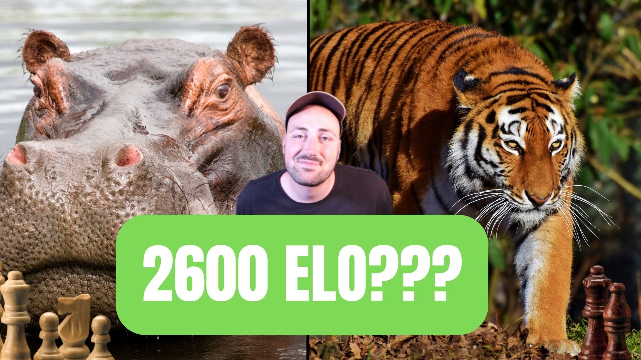 Playing Chess to 2600 ELO (Chess.com Blitz)