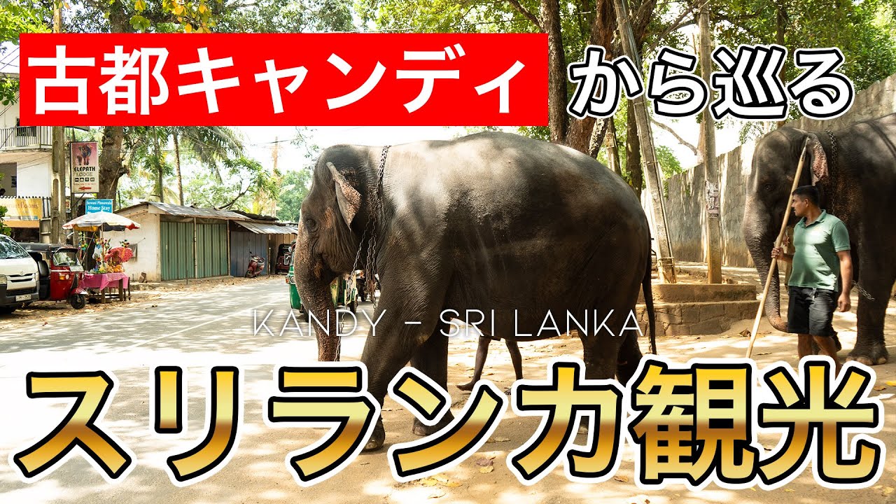 街全体が世界遺産の古都キャンディから周れる観光地が面白すぎた🇱🇰スリランカ7日間の旅　コロンボ｜キャンディ｜シギリヤ｜ゴール