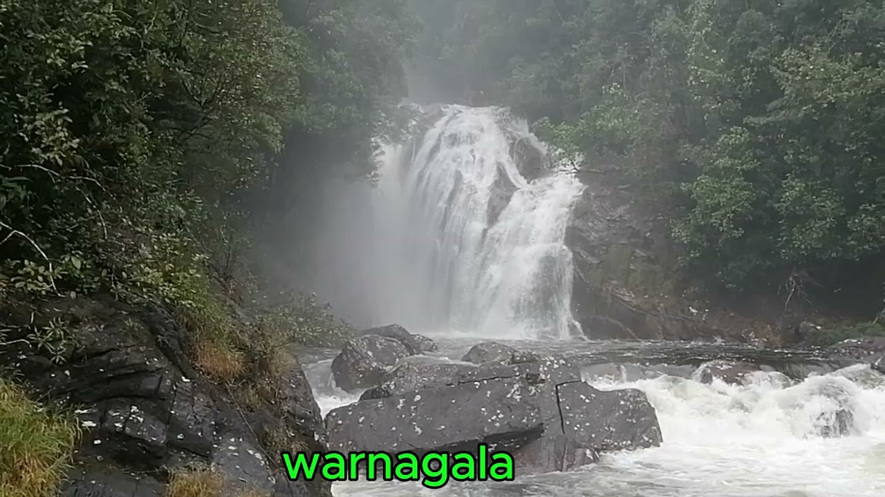 වැස්සෙන් ලස්සන වූ සිරිපා අඩවිය|Siripa Jungle After Flood kuruwita erathna  road.