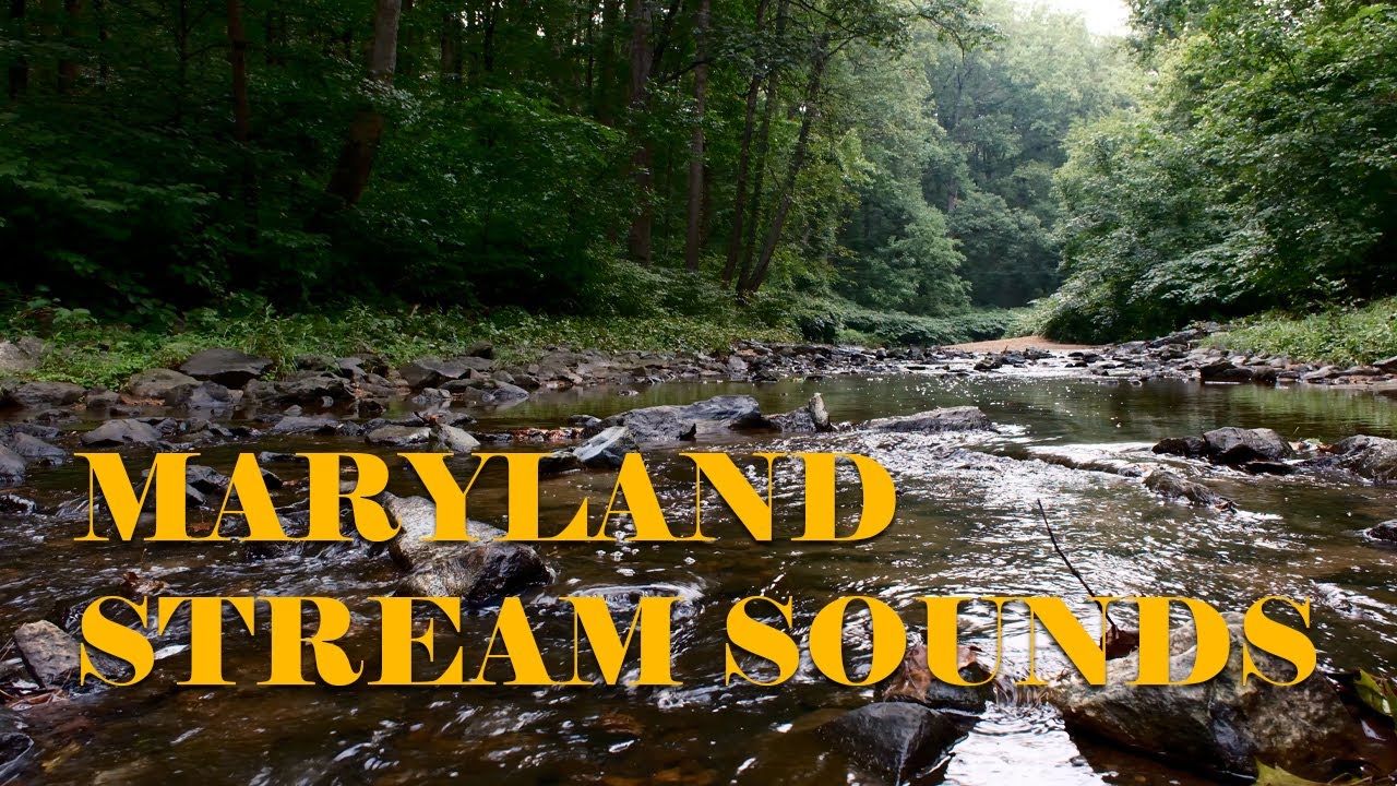The Relaxing Sound of a Stream and the Summer Haze - (Nature Sounds Episode 19)