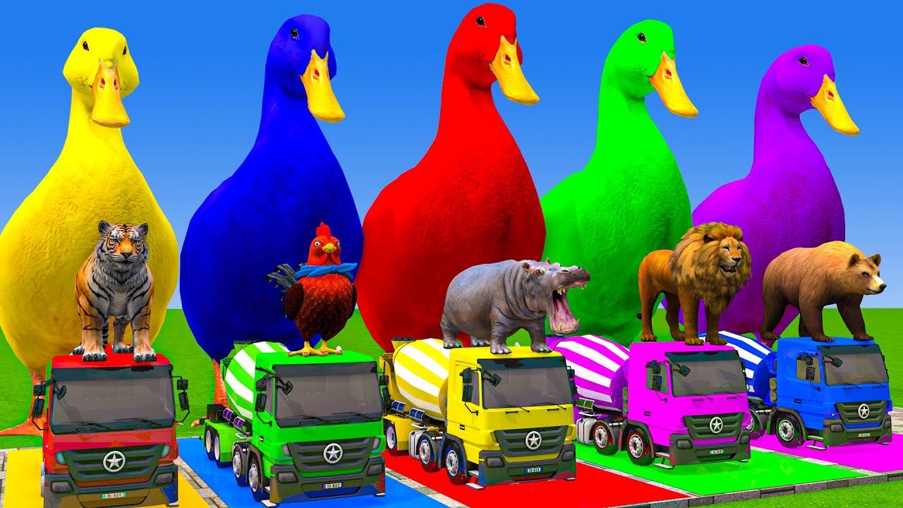 5 Giant Duck Cartoon,Cow,Elephant,Tiger,Lion,Dinosaur,Paint Wild Animals Crossing Fountain Animation