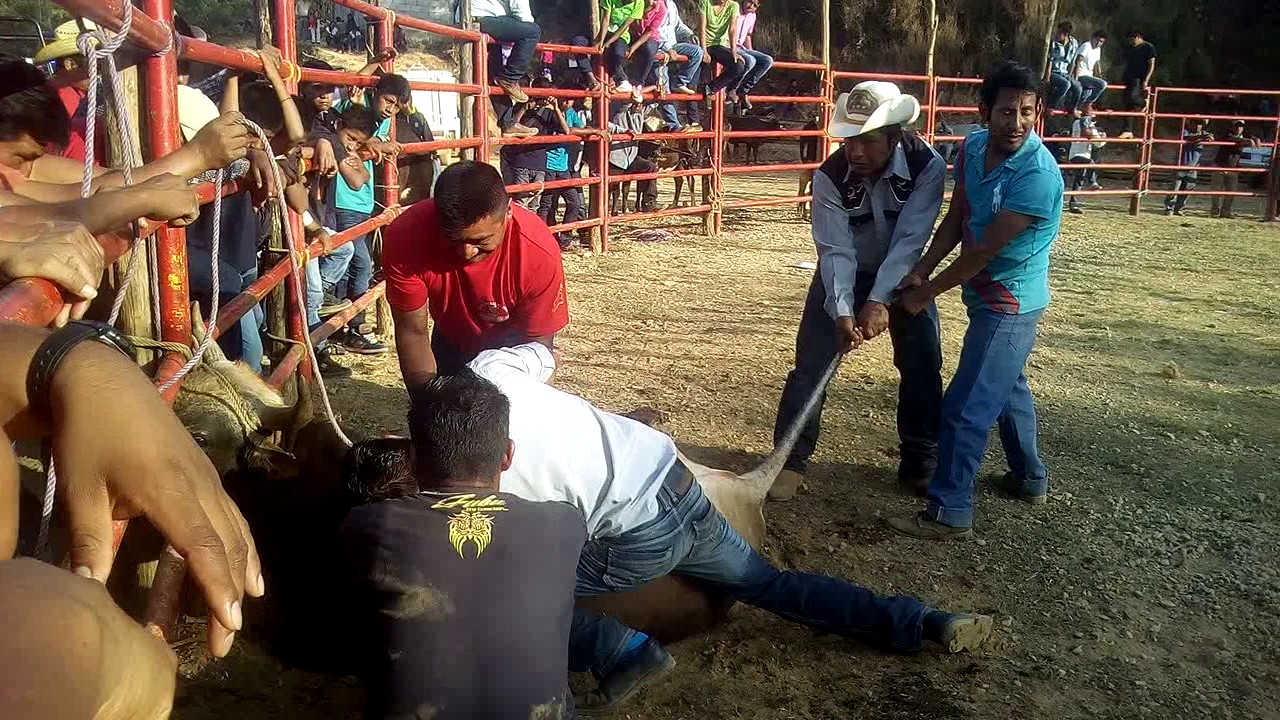 Malinaltepec