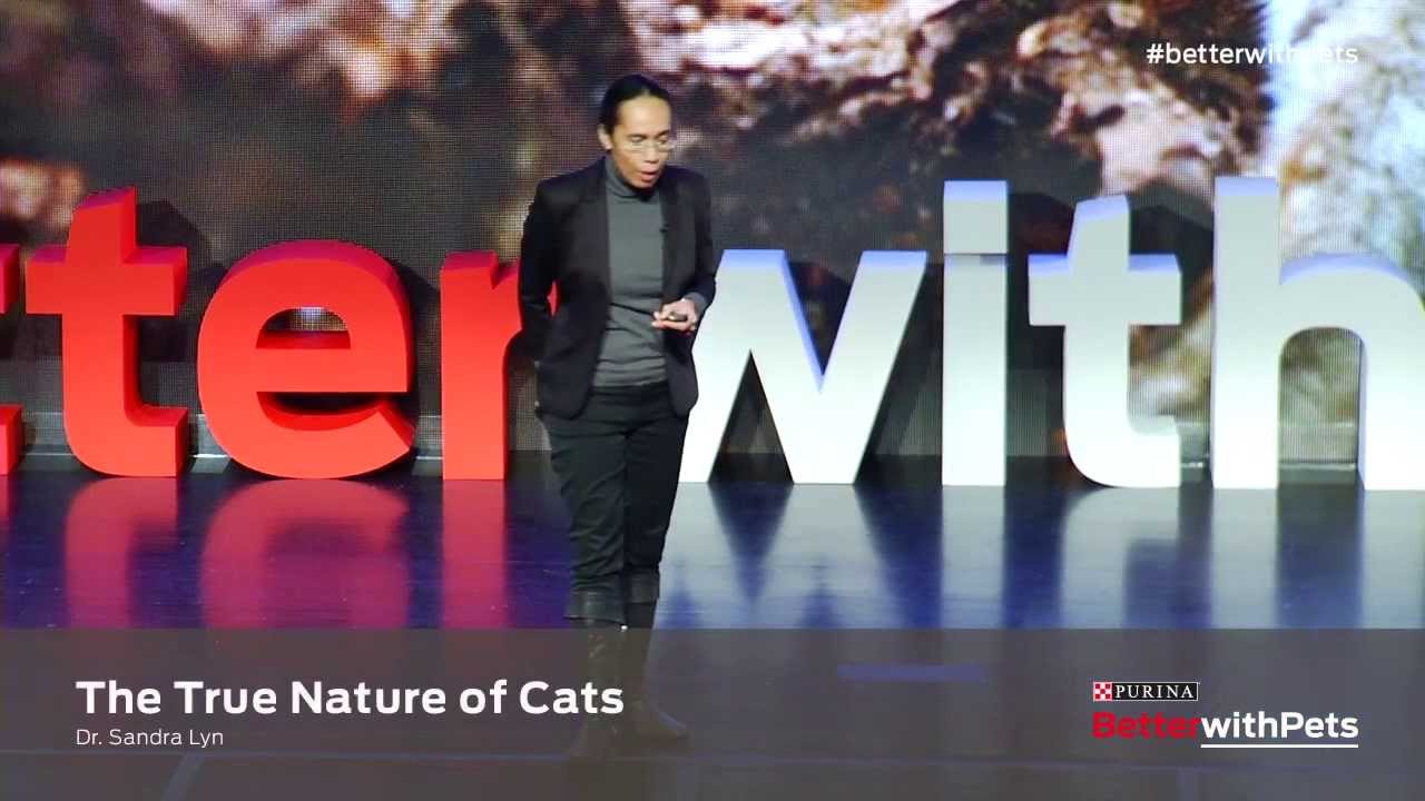 Highlights: Behaviorist Dr. Sandra Lyn: Communicating with Your Cat