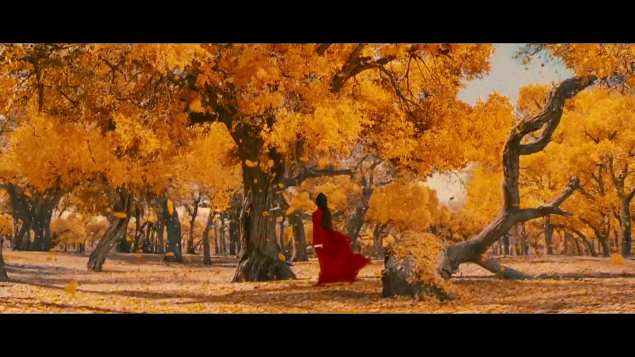 The Art of Colour and Composition: Best Cinematography HD