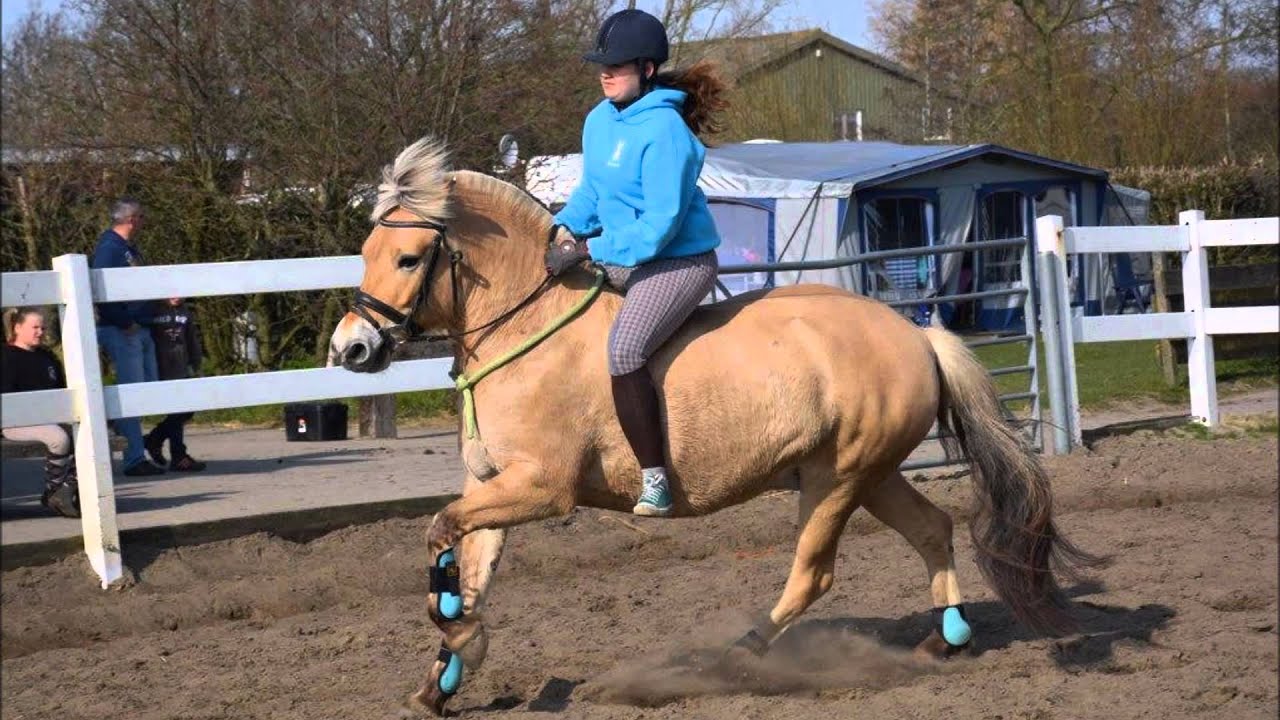 Ponyhof Aagtekerke Pasen 2015!♥