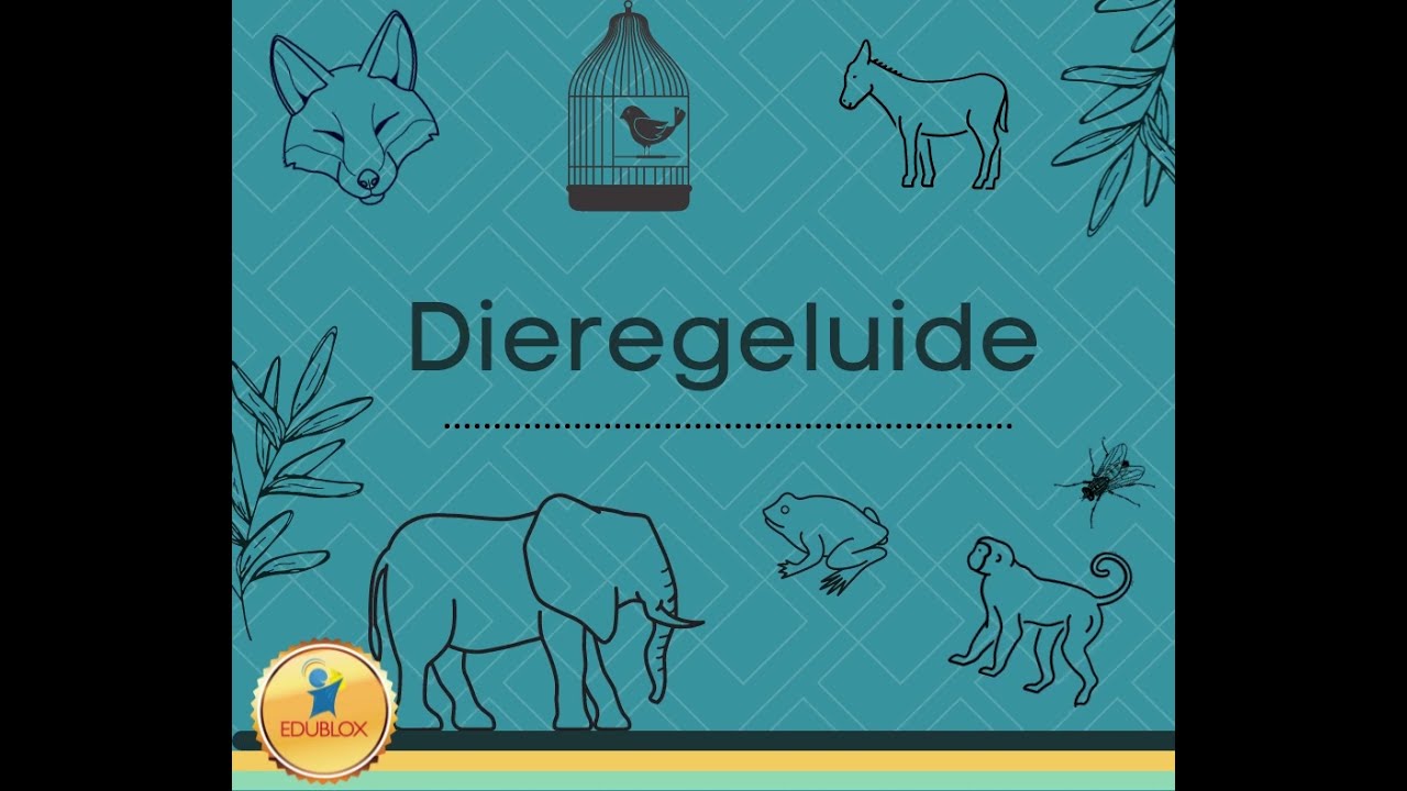 Dieregeluide