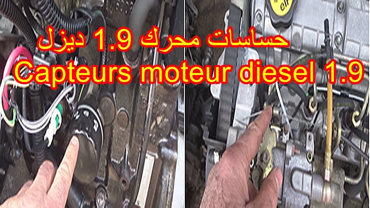 حساسات محرك 1.9 ديزل - Capteurs moteur diesel 1.9
