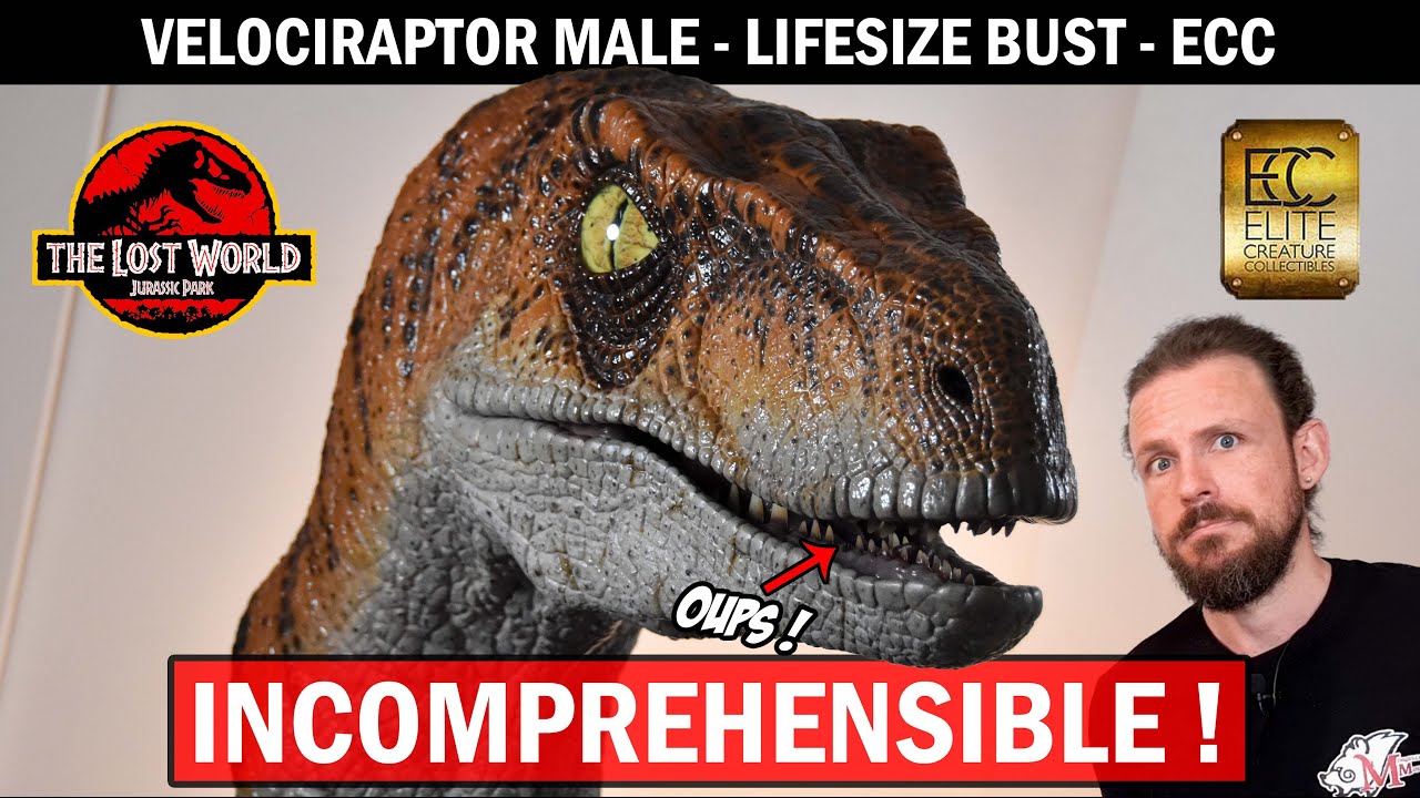 DE LA FOLIE ! UN VÉRITABLE VELOCIRAPTOR avec le buste 1/1 de Jurassic Park The Lost World par ECC