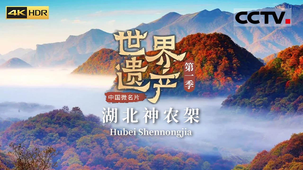 “萌”物来袭！生活在神农架的动物们究竟有哪些？跟随镜头一起探索《中国微名片——世界遗产》 EP9 第一季（4K）【CCTV纪录】