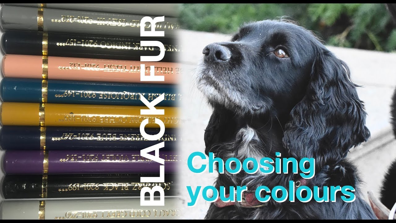 How to choose coloured pencils for black fur
