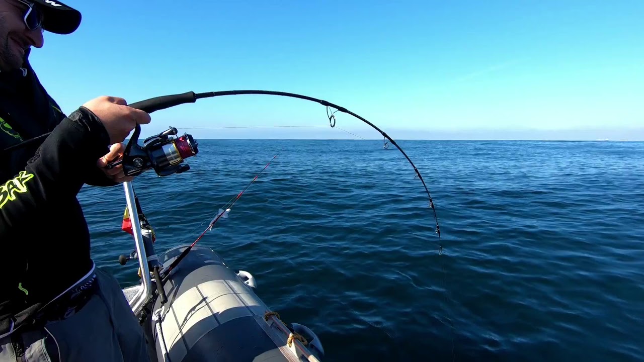 Corvin&oacute;n con ca&ntilde;a ACHILLES S565 280g y Calamar JLC Pirates