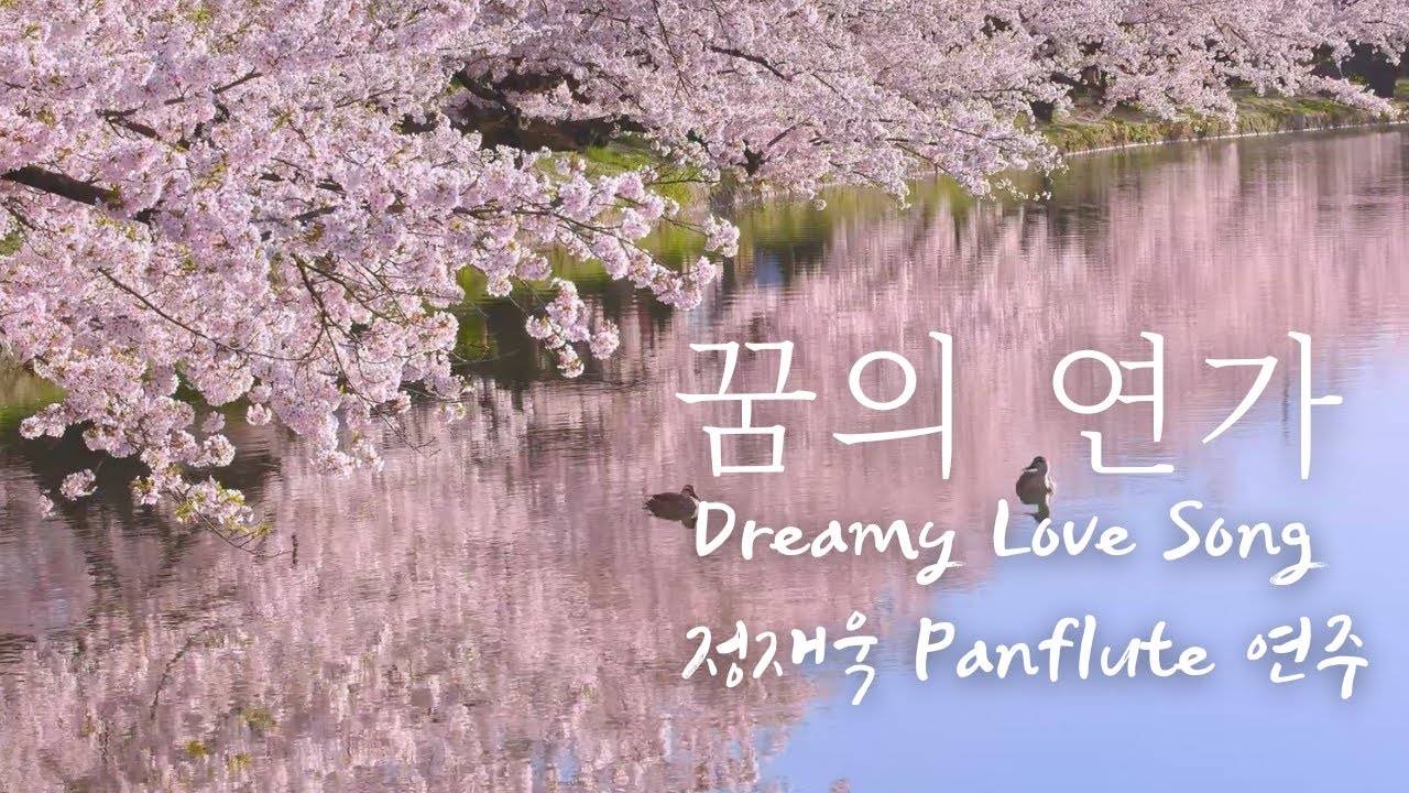 꿈의 연가ㅣDreamy Love Songㅣ박경규 작곡ㅣ게오르그 장피르ㅣ팬플룻(Panflute) 정재욱