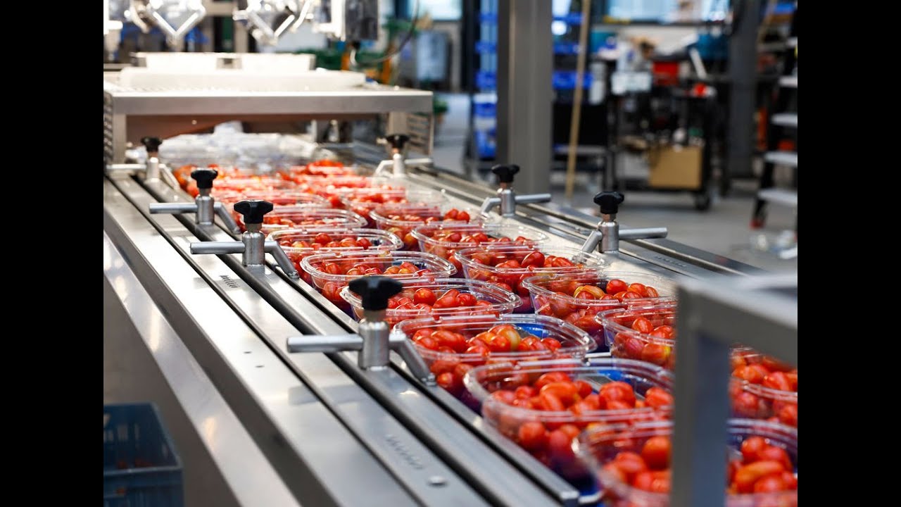 Koppert Machines - oplossingen snacktomaten