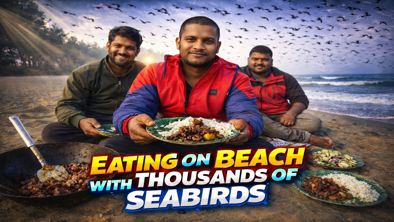 ସମୁଦ୍ର କୂଳରେ ଚଢ଼େଇ ଦେଖାକୁ ଚିକେନ କଷା👌ENJOYING food With Thousands of Migratory Birds🫰WILD COOKING !