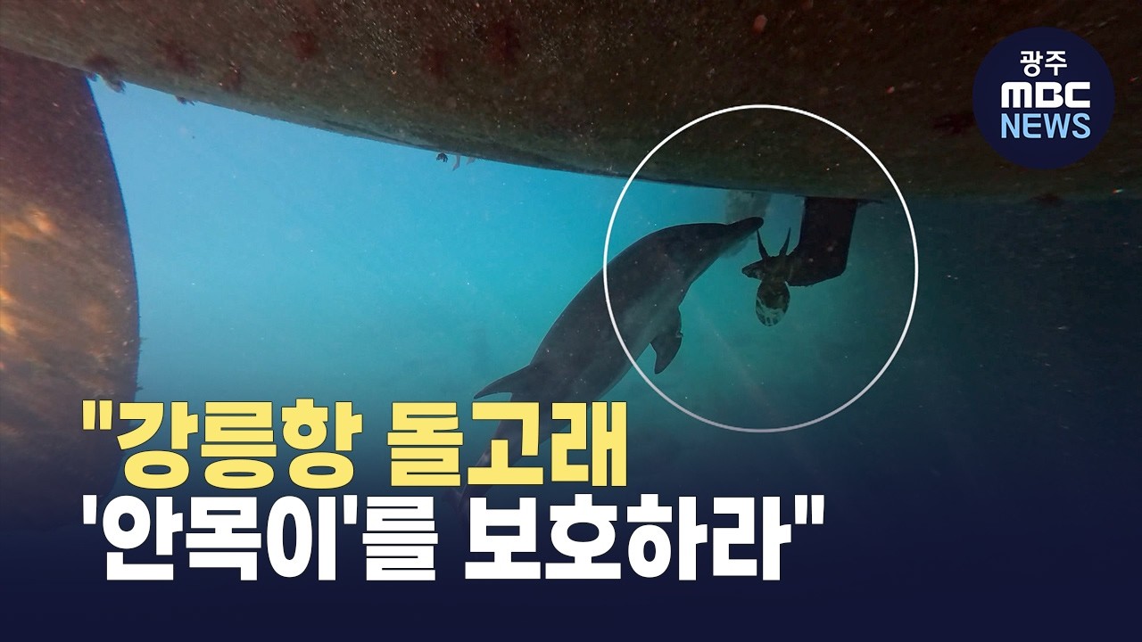 [강원영동] 