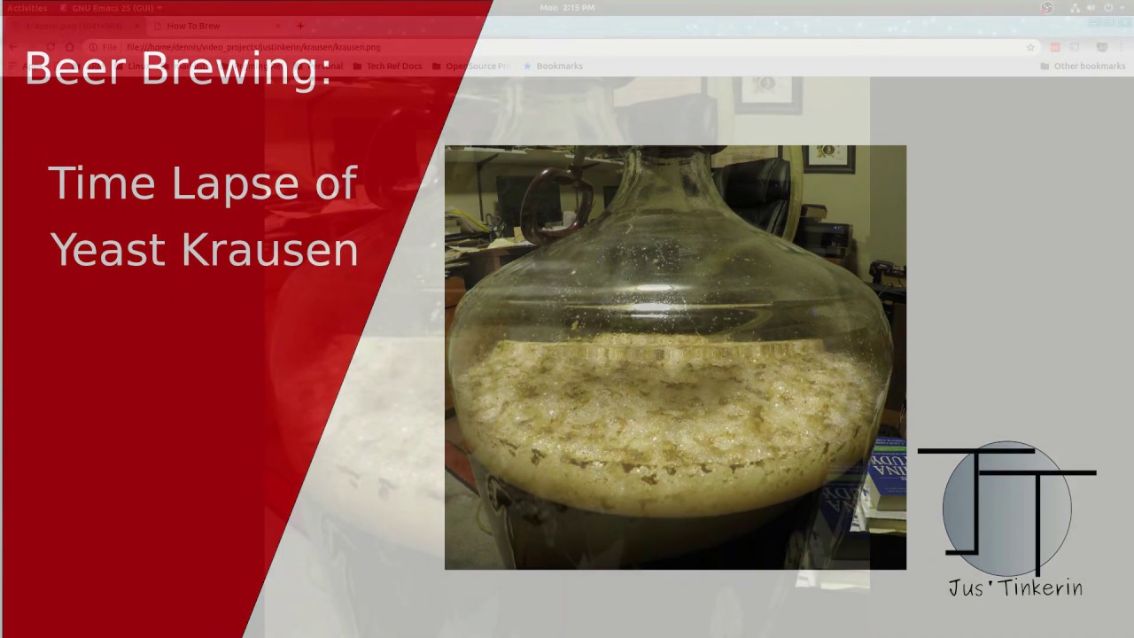 Beer Fermentation timelapse of krausen