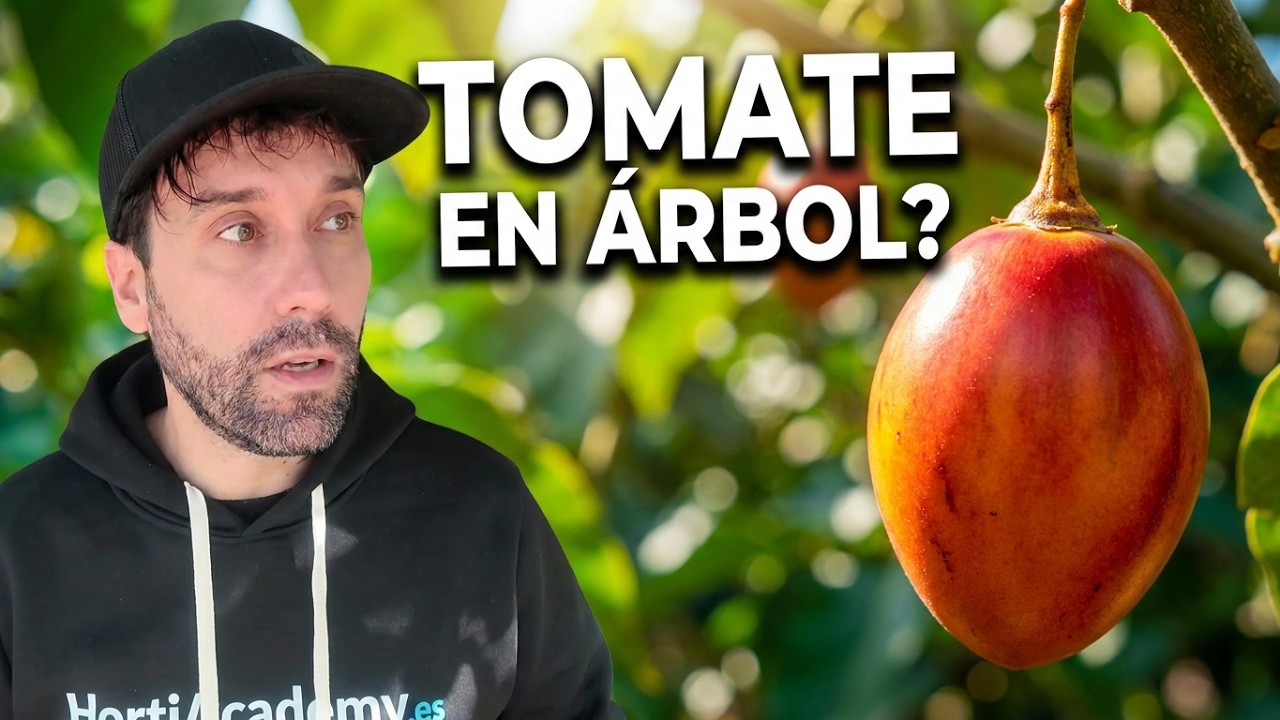 ¡CULTIVA TOMATE DE ÁRBOL! 🍅 Cómo Plantar y Cuidar Tamarillo Paso a Paso
