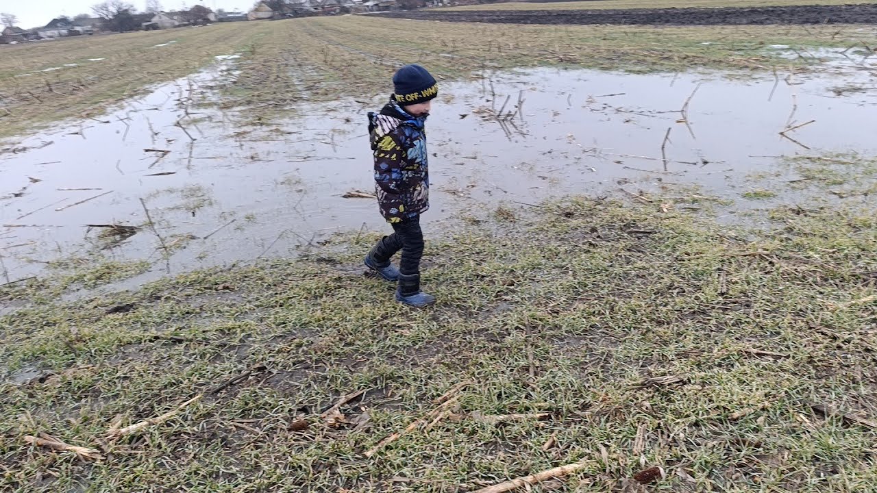 14лютого2026 р.Все пропало пшениці у воді врожаю не буде🌾ідемо з сином поратися хазяйство У Батька