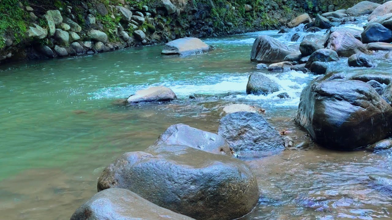 River Stream and Birds Chirping – Relaxing ASMR Nature Sounds