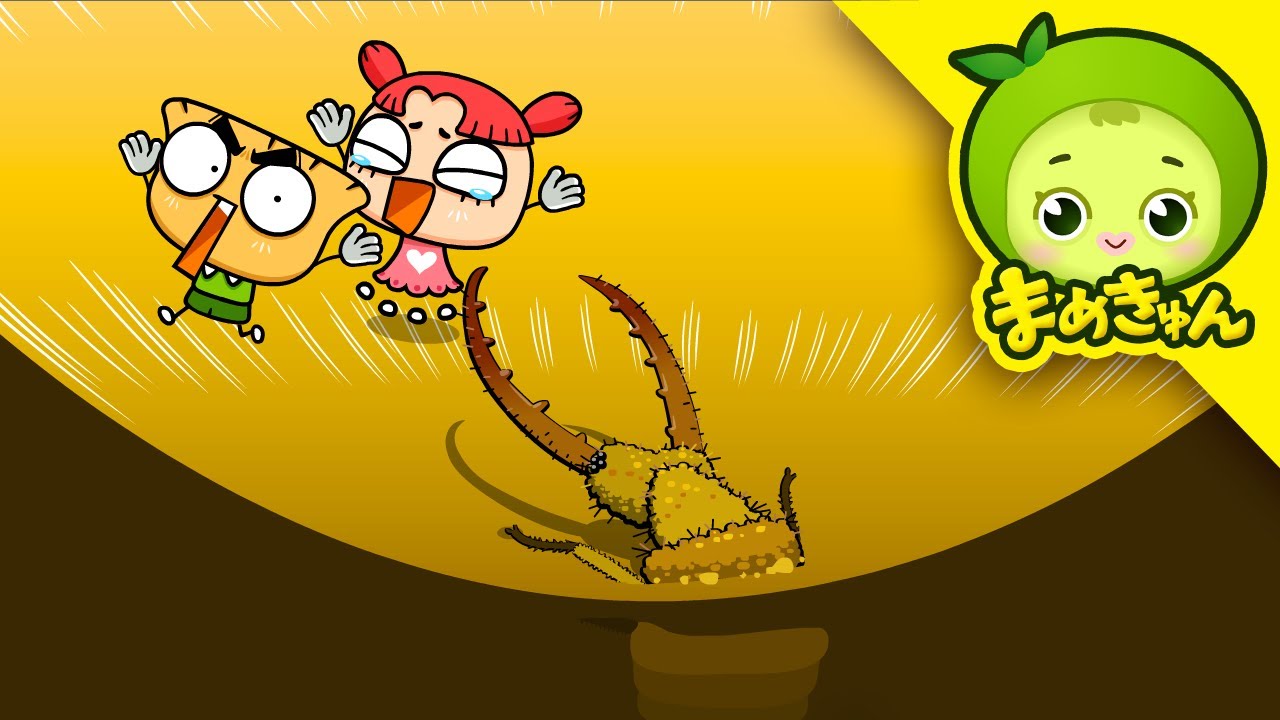 アリジゴクから脱出！ | 昆虫探検 #14 | ウスバカゲロウ | まめきゅん MAMEKYUNN