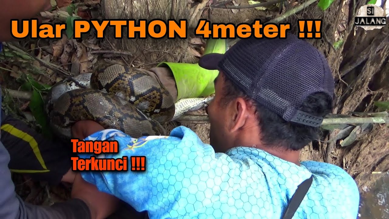 Niat Memancing Justru Di Terkam Ular !!!