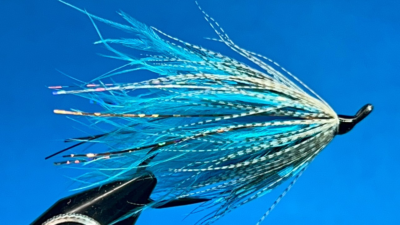 Blue Marabou Steelhead Fly