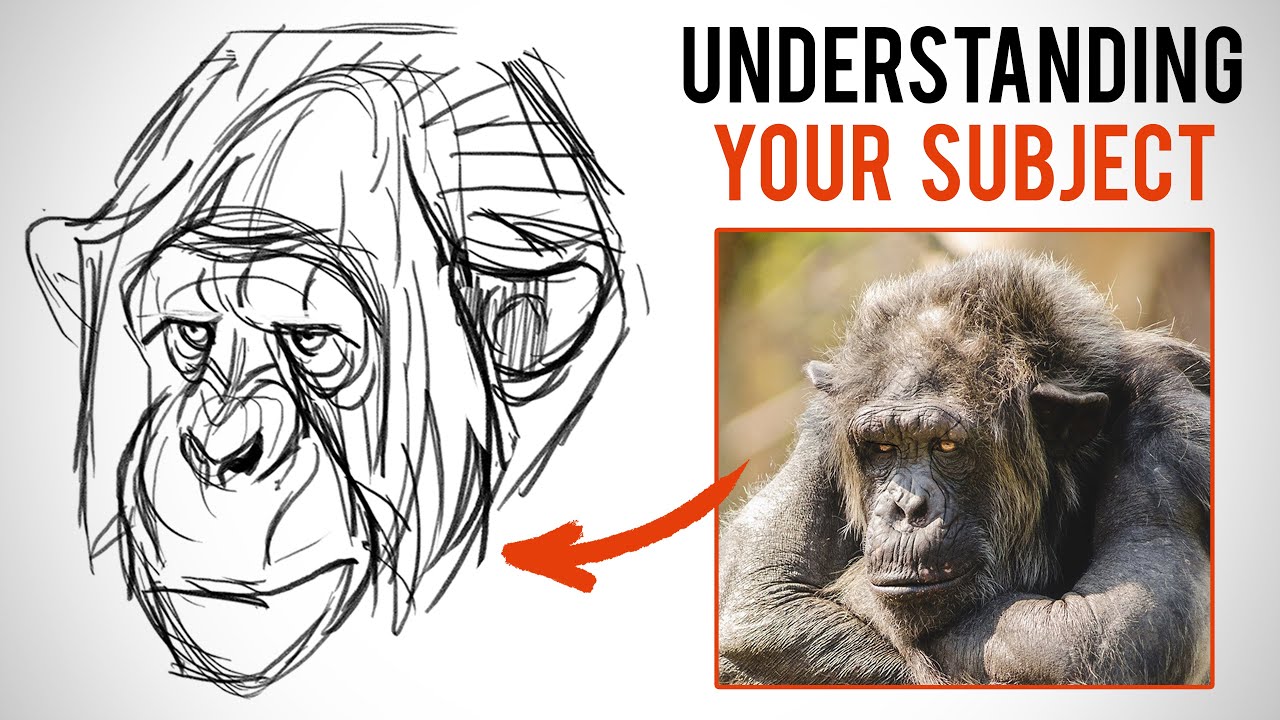 Improve Your Designs with Shape Breakdowns