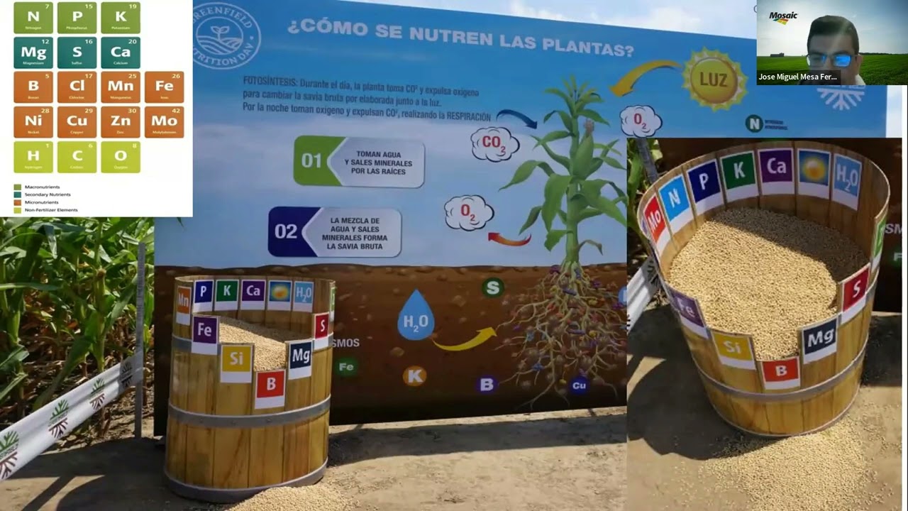 Manejo Post Cosecha de Café para mejorar la Calidad de Taza