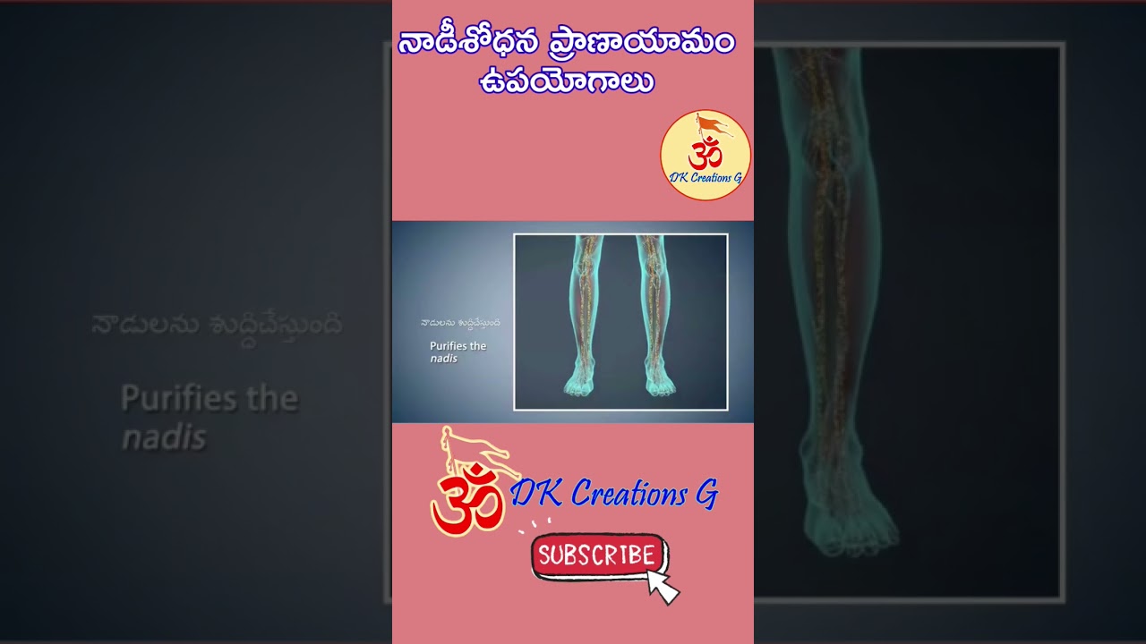 Importance of Nadi Shodhana Pranayam | Pranayama | #nadishodhan #nadishodhana #pranayama