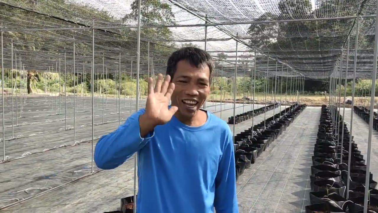 10. Mula siram baja AB Halia🙋‍♂🌿