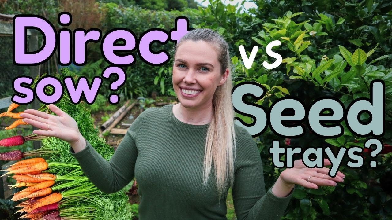 Easy to follow SEED SOWING Guidelines PLUS Vegetable seedlings I NEVER BUY 🌱🥕