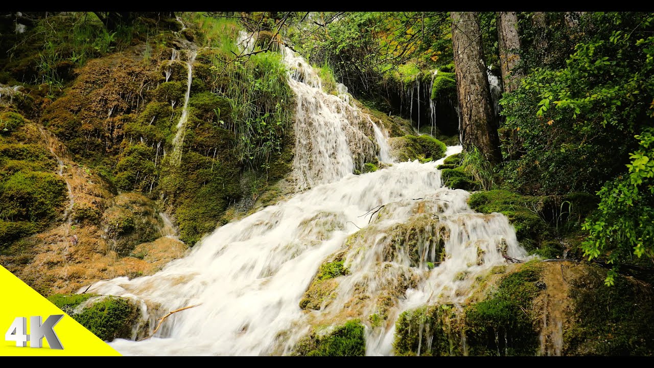 Musique Relaxation Calme | Bruit de l'eau qui coule | chant des oiseaux | Dormir Zen | Méditation