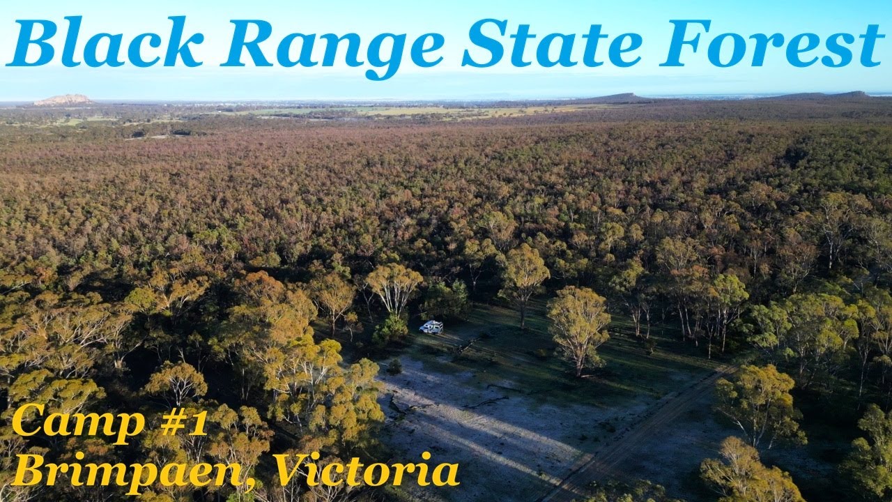 Black Range State Forest Free Camp #1, Brimpaen, Victoria, Australia
