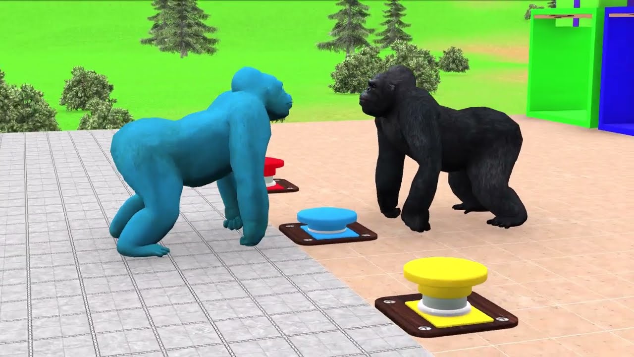 Crazy 3D Animal Slide Race Zoo Edition