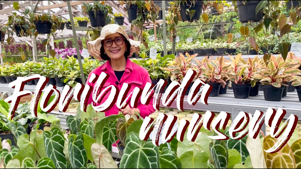 Indonesian Horticulturalists (High Elevation) Gorgeous Nursery Tour With Karen @floribundanursery
