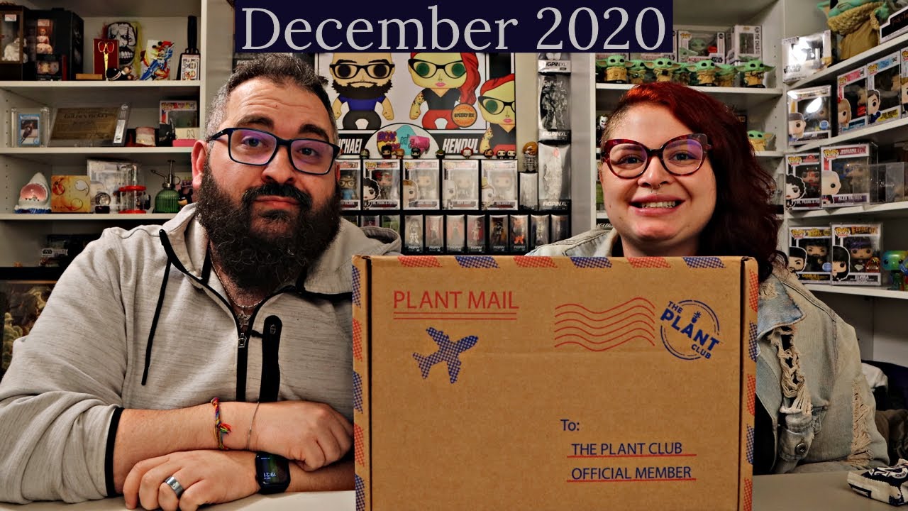 The Plant Club Houseplant Subscription Mystery Box - December 2020