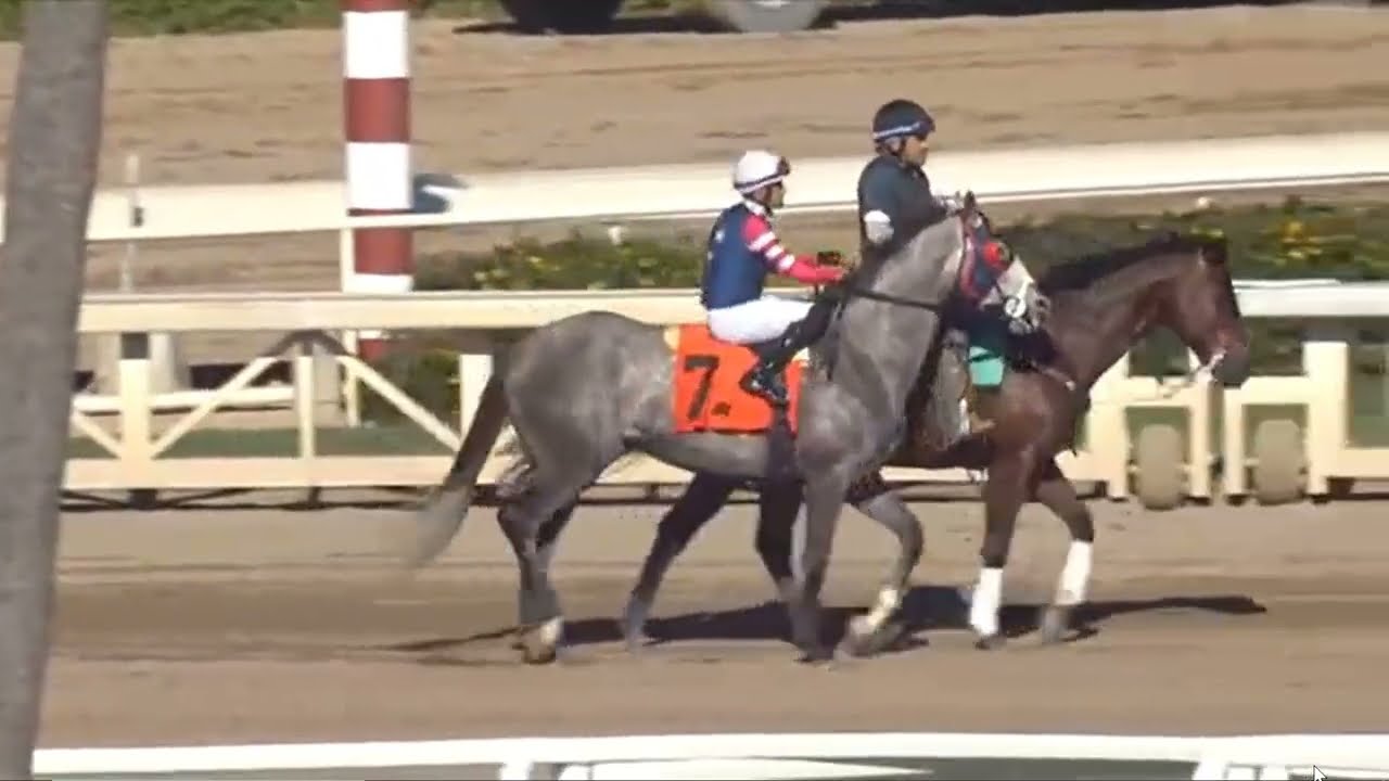 R6  Santa Anita 28 Feb 2026