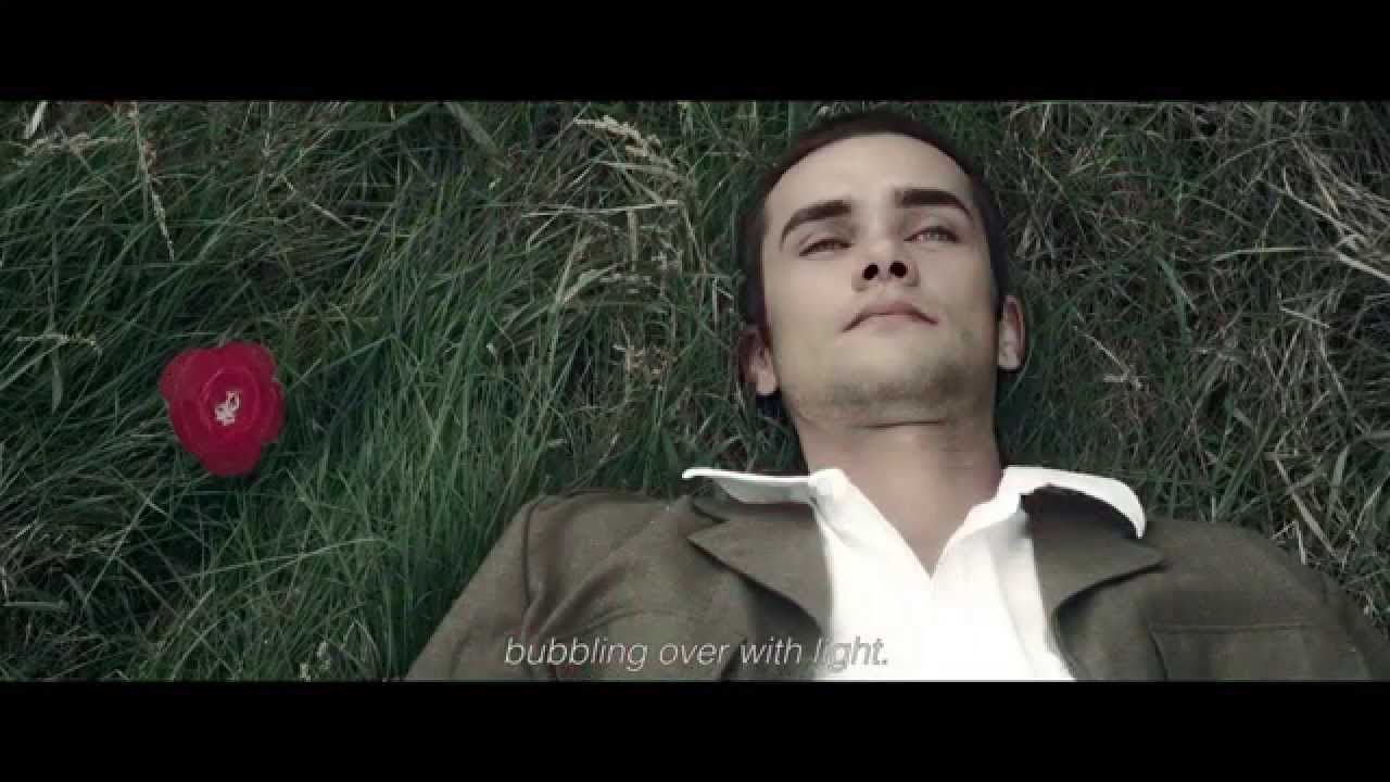 Le dormeur du Val -Art essay video