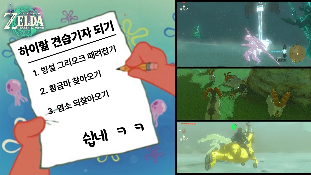 그리오크도 때려 잡는 하이랄 견습기자 [젤다의전설 왕국의눈물 하이랄의 견습기자]