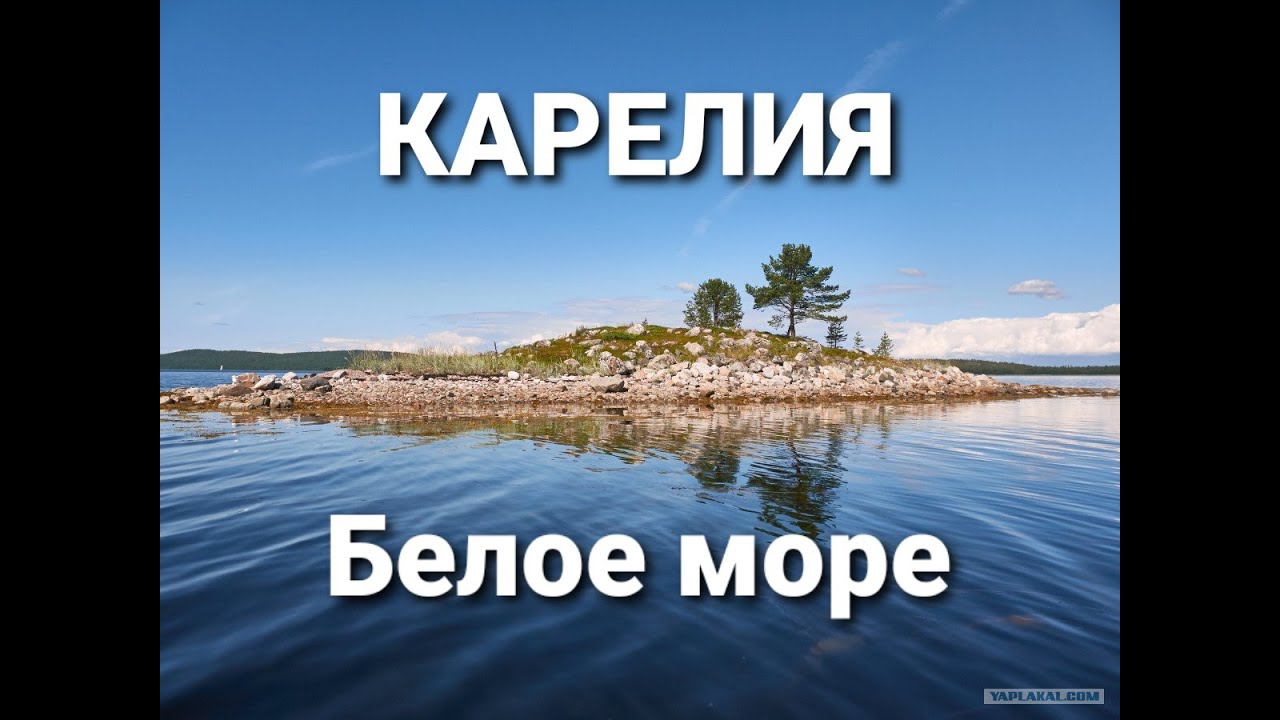 ❤КАРЕЛИЯ❤БЕЛОЕ МОРЕ/МОЯ РОДИНА/НОСТАЛЬГИЯ/Треска после отлива🐟