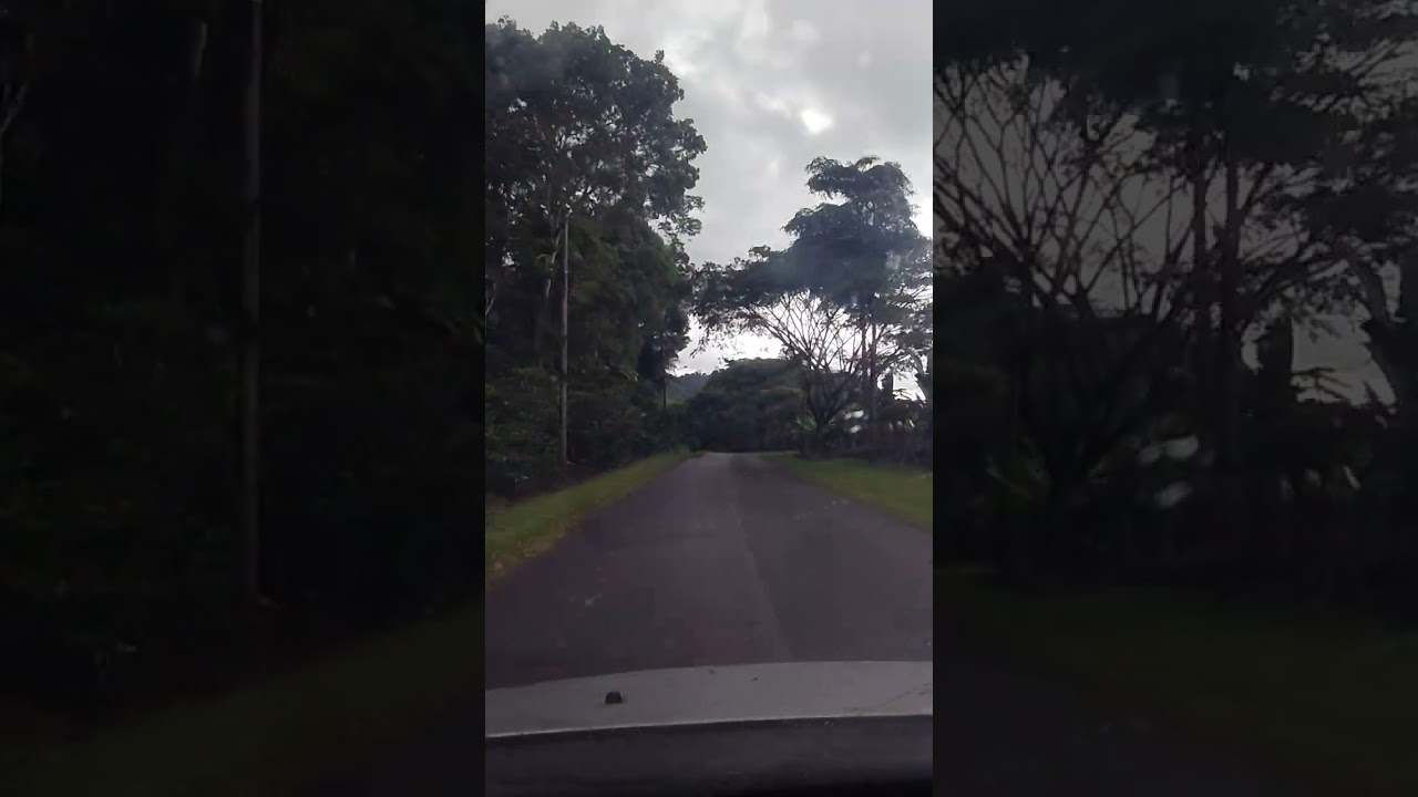 bikin betah,suasana pedesaan dengan jalannnya yang sepi