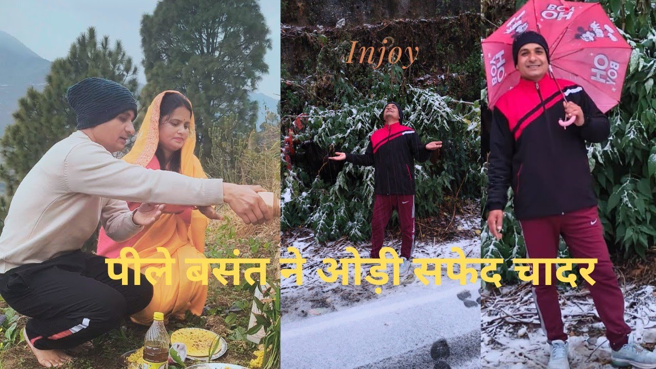पीले बसंत ने ओड़ी सफेद चादर#vlog-68#viral#Pahadi#basantpanchami#pahadilifestyle#viral vlog#Uttrakhand