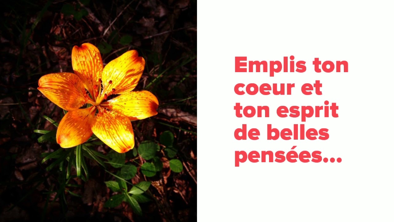 Méditation quotidienne de la Petite Voix d'Eileen Caddy en vidéo