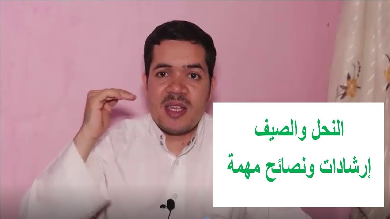 النحل وارتفاع درجات الحرارة نصائح وإرشادات النحل في الصيف