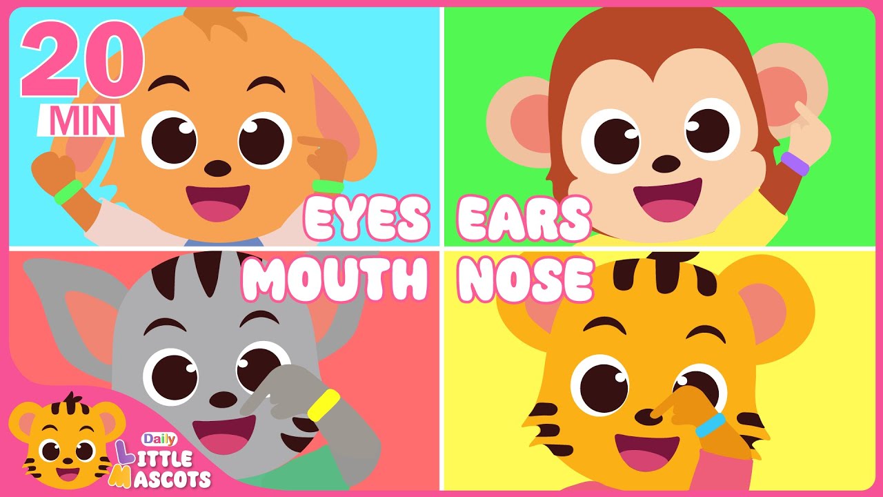 Head Shoulders Knees & Toes #1 | Learn Body Parts + more | Little Mascots