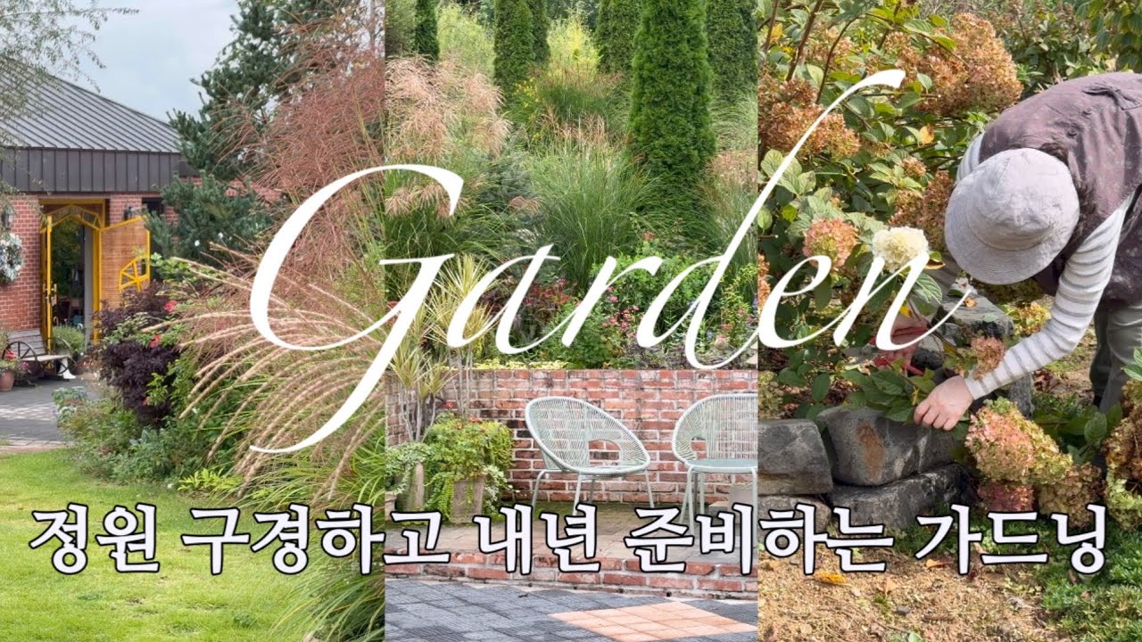 [Garden] 정원 구경하고 내년 준비하는 가드닝 | 오래 보는 꽃 추천