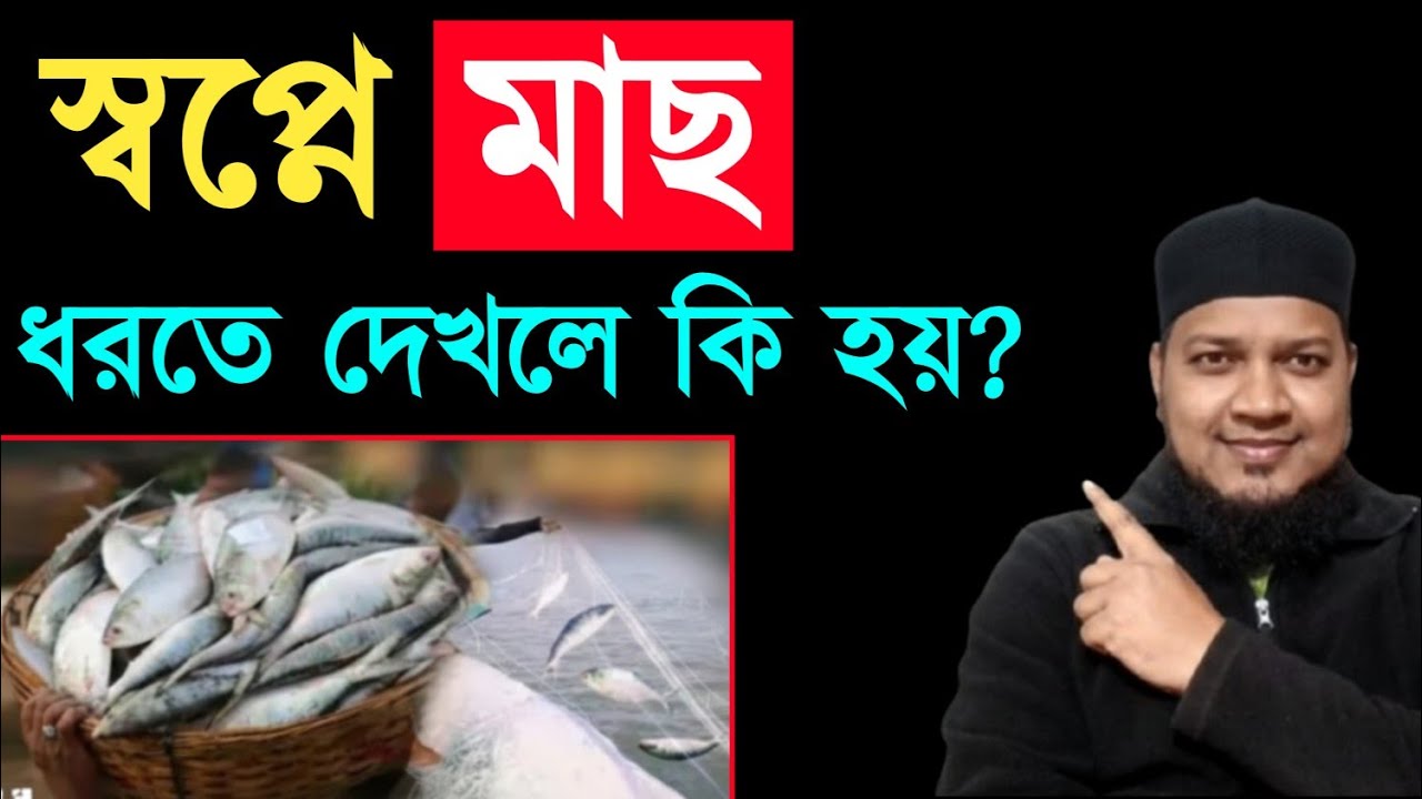 স্বপ্নে মাছ ধরতে দেখলে কি হয়? shopne mach dhorte dekhle ki hoy স্বপ্নে মাছ দেখলে কি হয়? মাছের সপ্ন