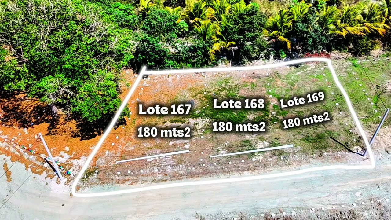 Lotes 233, 232, 169, 168 y 167