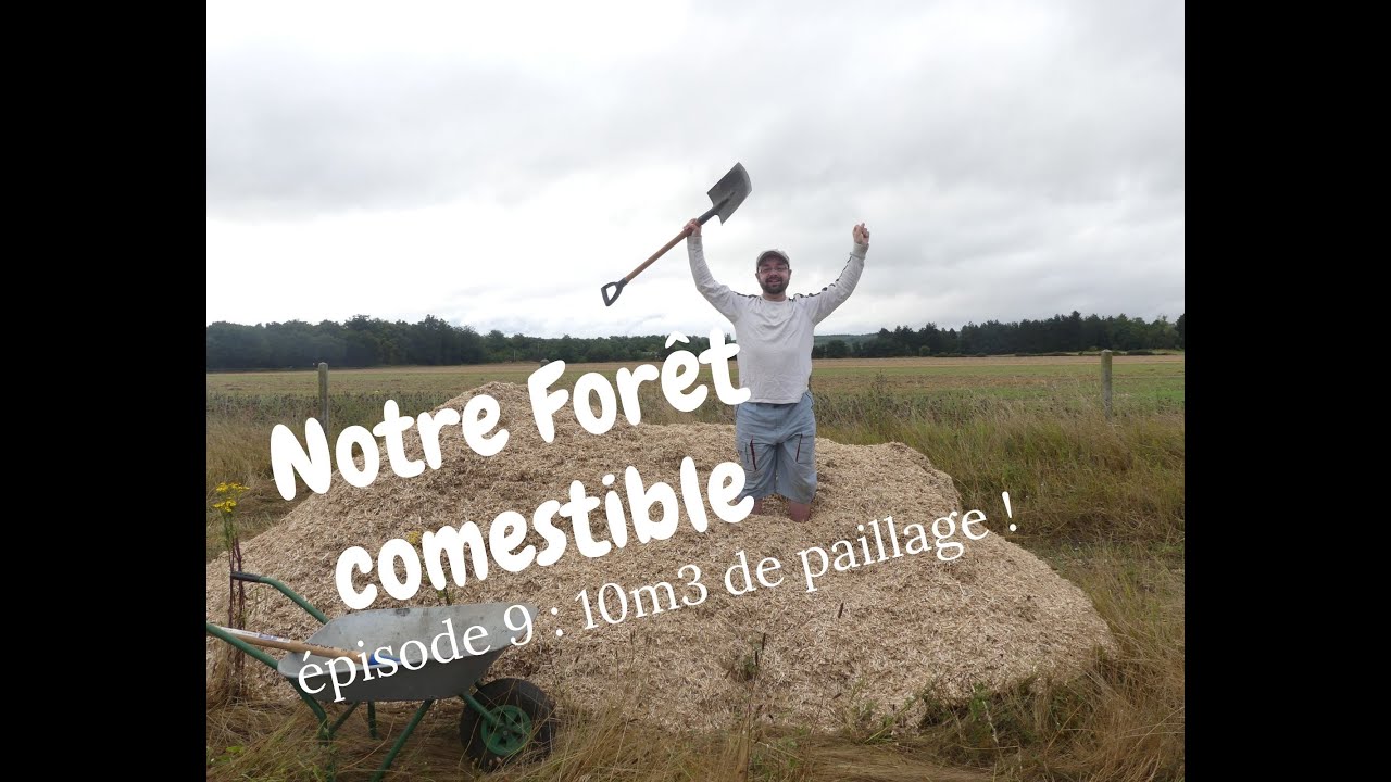 Notre Forêt comestible // épisode 9 : 10m3 de paillage !
