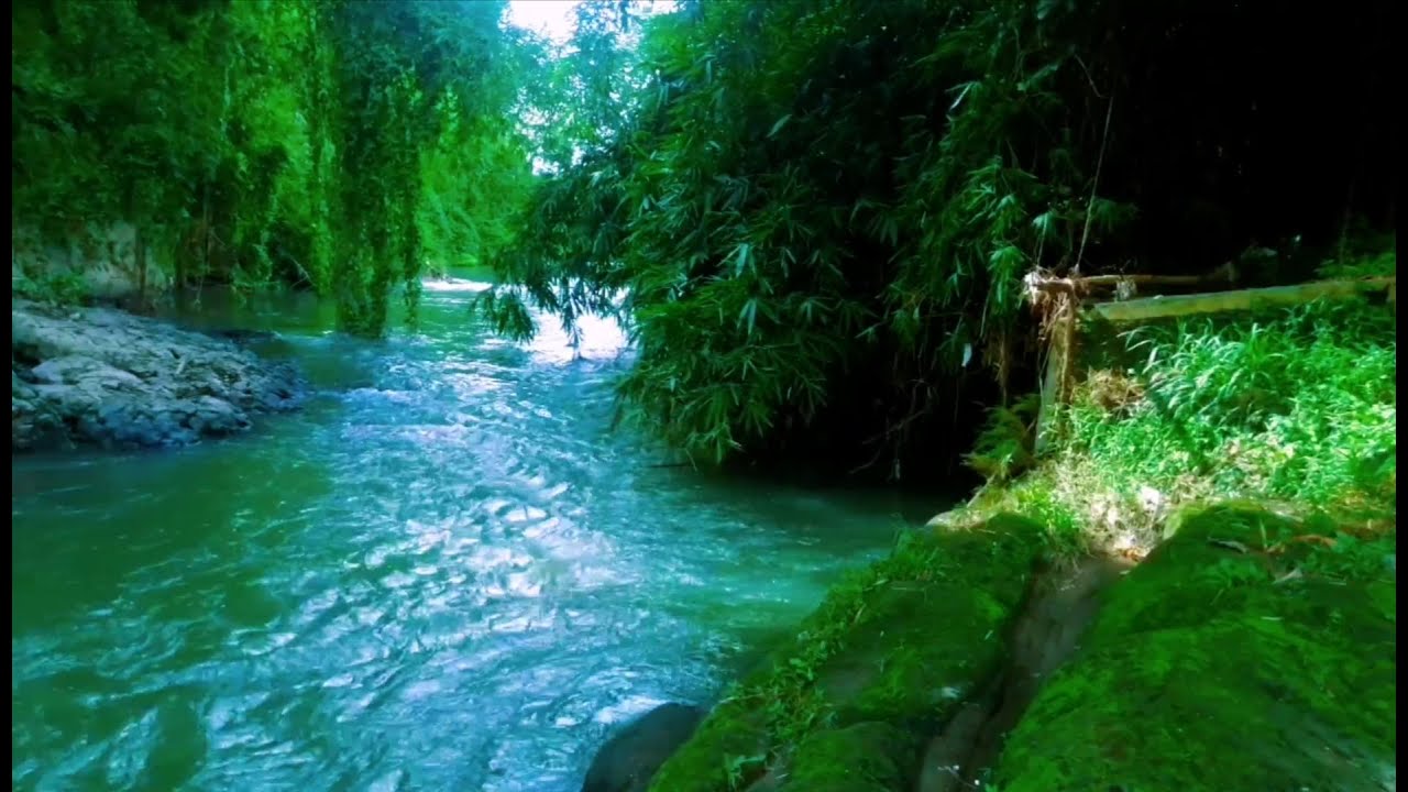 calm river sounds for deep sleep and stress relief